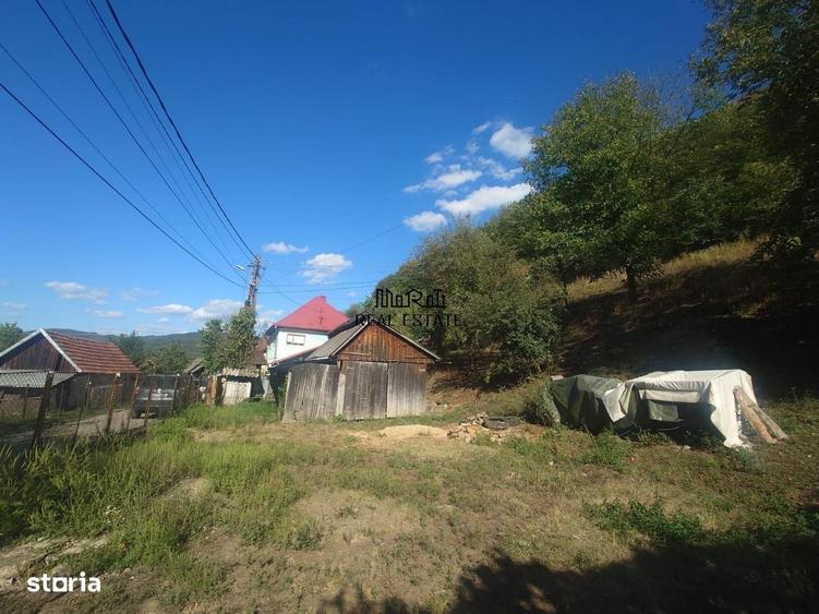 Casa si Teren Criscior - 10