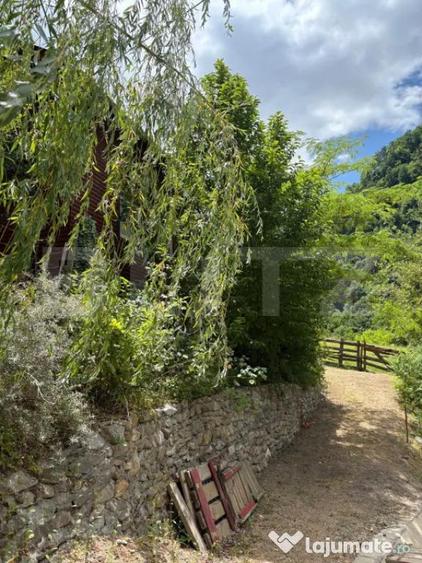 Casa de vacanta cu 4 camere, 1470 mp teren, Sugag - 2
