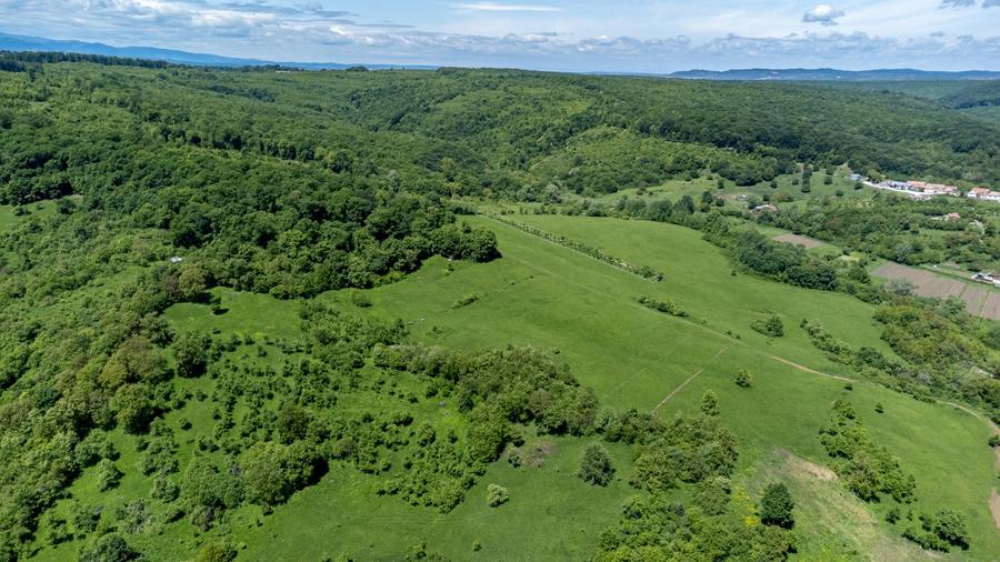 Teren agricol extravilan de 500 mp, în Bradu