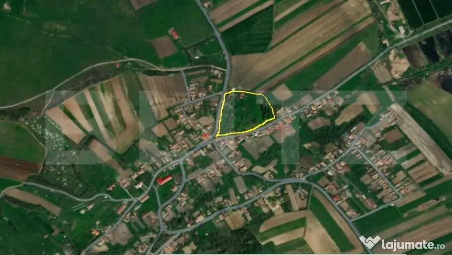 Casă cu 3 camere cu Teren 18449 Mp în Păingeni