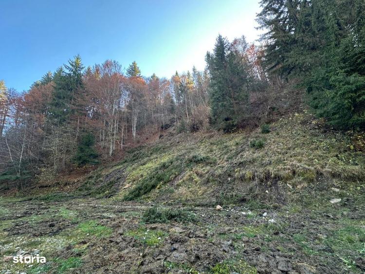 Teren de 2882 mp, în Dâmbovicioara