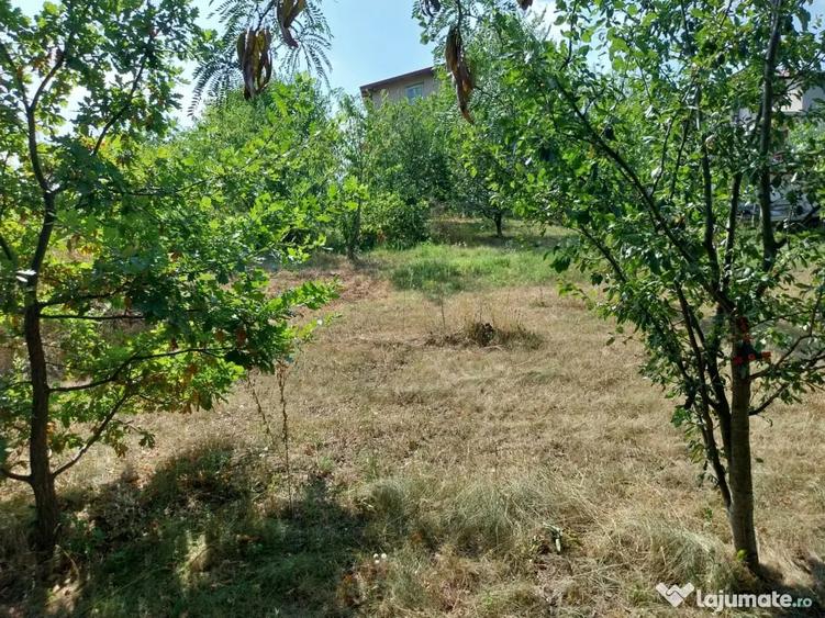 Casa de vanzare Dealul Zorilor Ia?i - 6