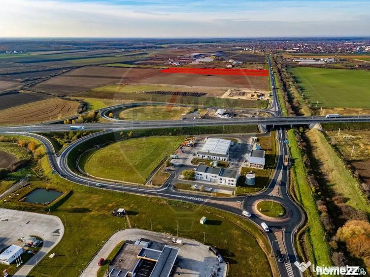Teren 29220 mp Pecica,DN7, langa autostrada- Ideal pentru afaceri - Pecica (Arad) - 4