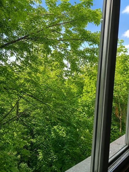 Apartament cu 3 camere decomandat în Dobroești