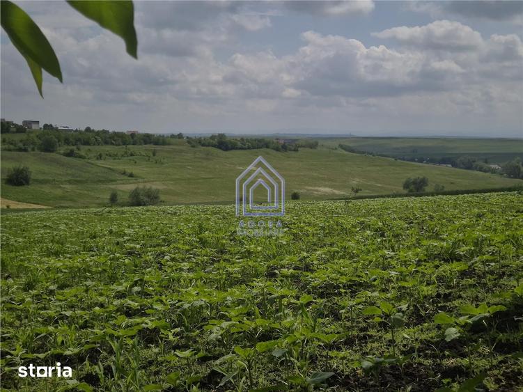Teren intravilan Moara Nica - zona Scolii - 10