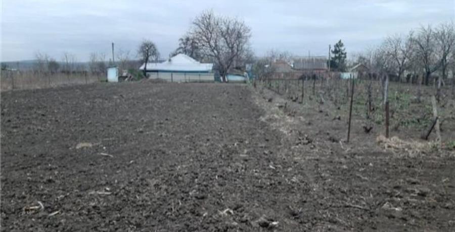 Teren de 4087 mp, în Prisăcani