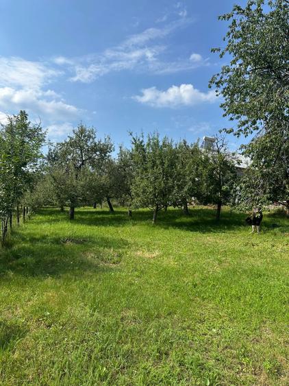 Teren de 1500 mp, în Gemenea-Brătulești