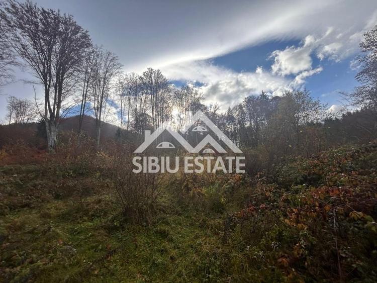 Teren Construcții intravilan de 3000 mp, în Sud