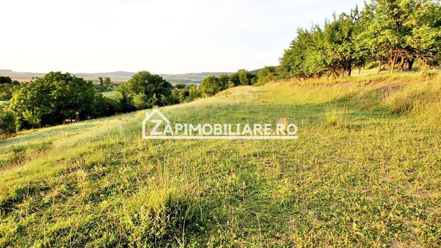 Teren Construcții intravilan de 5000 mp, în Herghelia