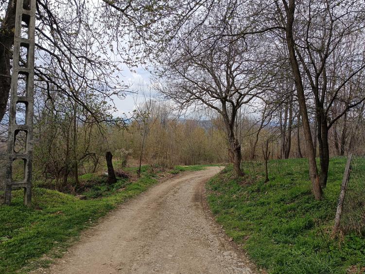 Vand teren intravilan, 1808 mp, situat in Sat Poiana Mierlei, Com. Drajna, Jud. Prahova - 2