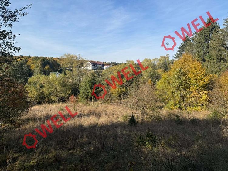 Teren intravilan de 2500 mp, în Periferie