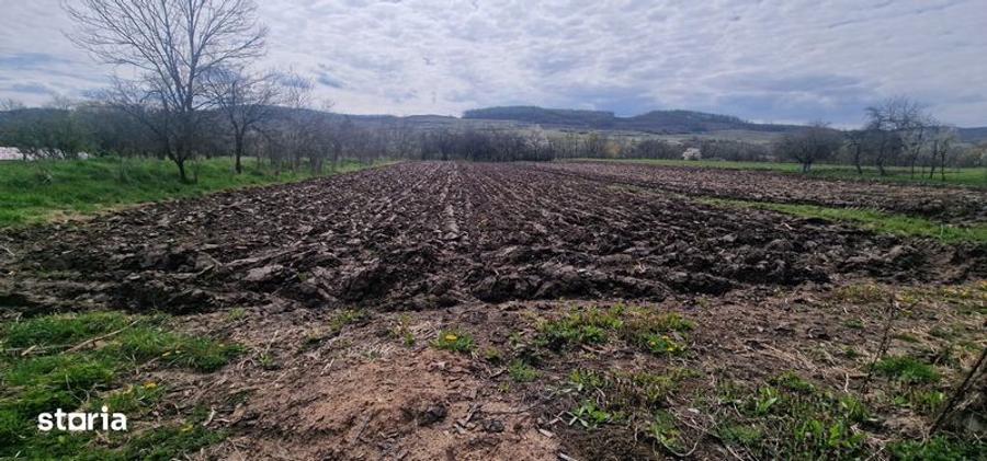Casă cu 4 camere cu Teren 120 Mp în Almașu