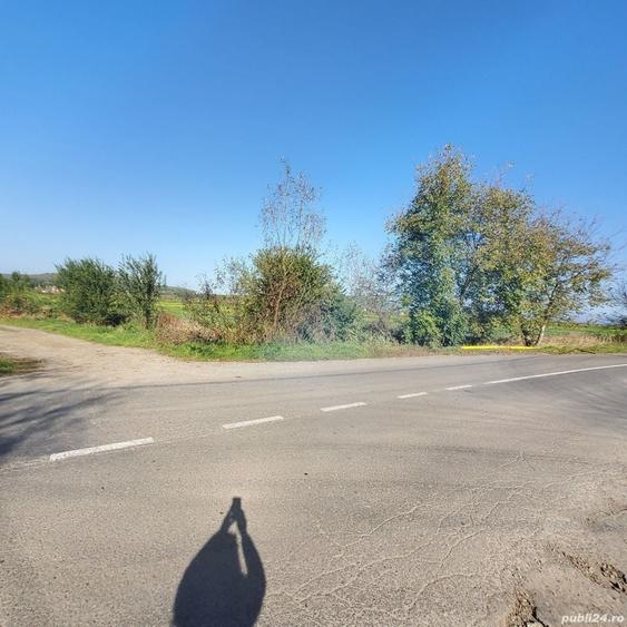 Teren de 32300 mp, în Central