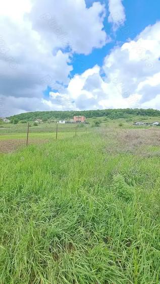 Vand teren extravilan , 637mp, Lombului, Cluj-Napoca - 8