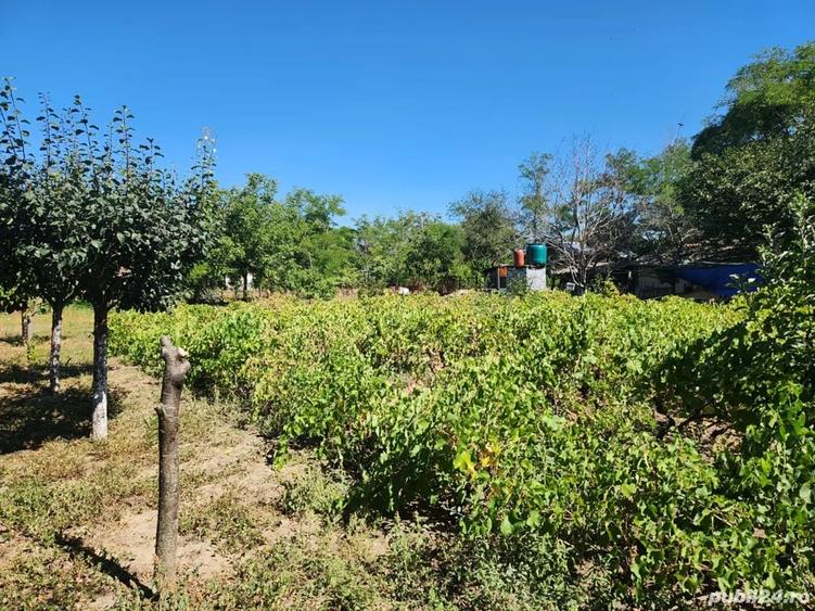 Casă în Văcăreasca