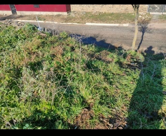 Teren în Ștefan cel Mare