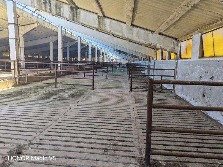 Spațiu industrial, de 7,950 mp, în Orțișoara