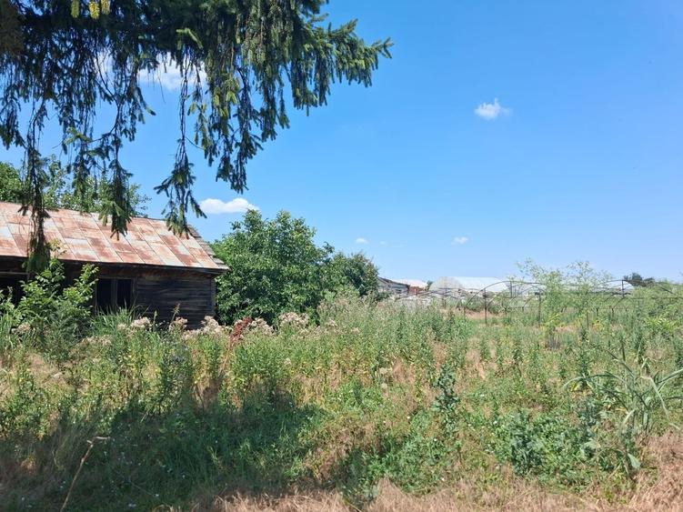 Teren Construcții intravilan de 3524 mp, în Sintești