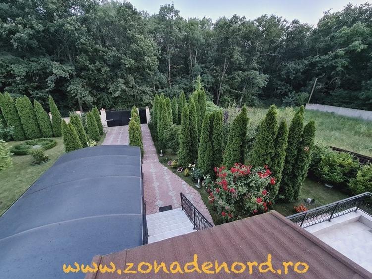 Casă individuală cu 6 camere cu Teren 1150 Mp în Dumbrăveni
