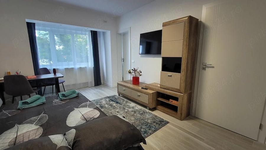 Studio Modern Semidecomandat ZONA FRIGORIFER - ROVINE(5 minute de calea buc) - 3