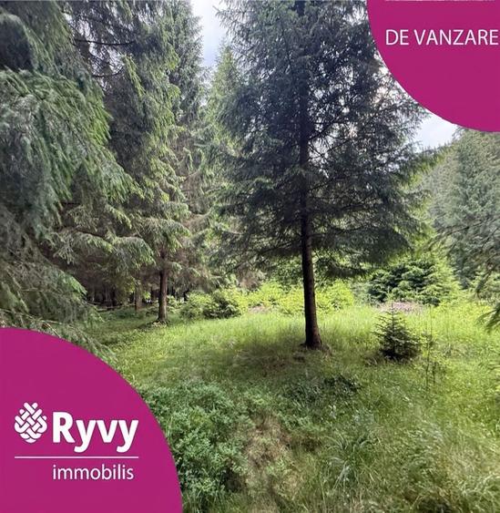 Teren agricol intravilan de 2500 mp, în Comandău