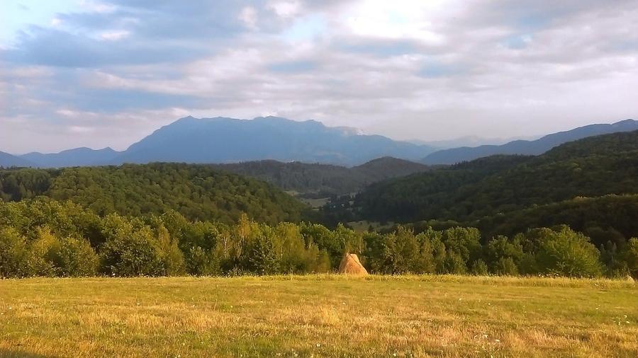 Teren Construcții intravilan de 11600 mp, în Poiana Mărului