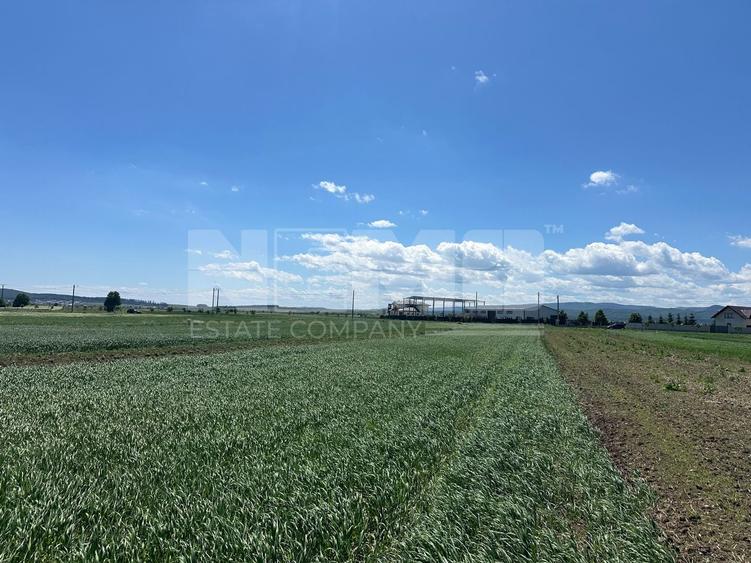 Teren Construcții extravilan de 2700 mp, în Central