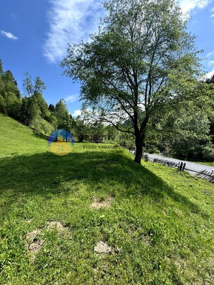 Teren Construcții de 11557 mp, în Ceahlău