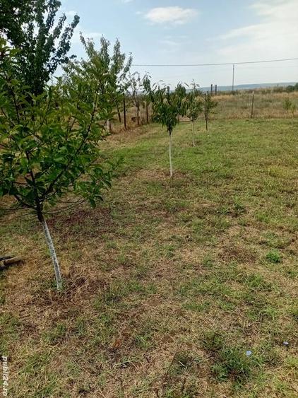 Teren de 2400 mp, în Brădești