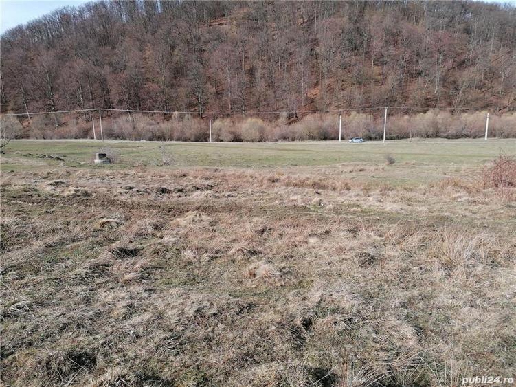 Teren de 3800 mp, în Crizbav