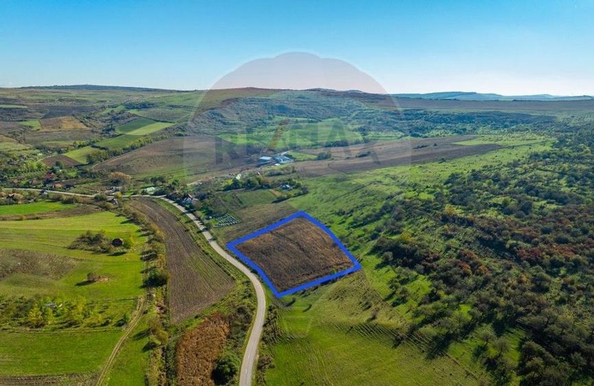 Teren Construcții intravilan de 1459 mp, în Căianu