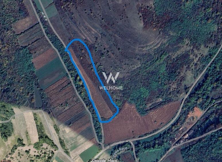 Teren agricol extravilan de 18175 mp, în Gușterița