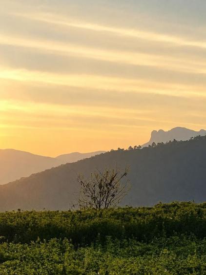 Casă cu 3 camere în Turturești