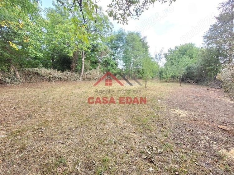 Casă cu Teren 2093 Mp în Bănești