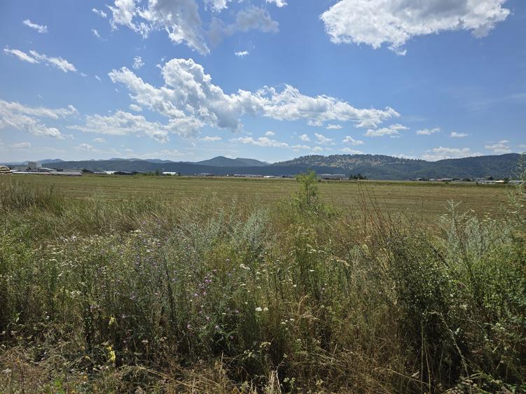 Teren Construcții intravilan de 37742 mp, în Dumbrava Roșie
