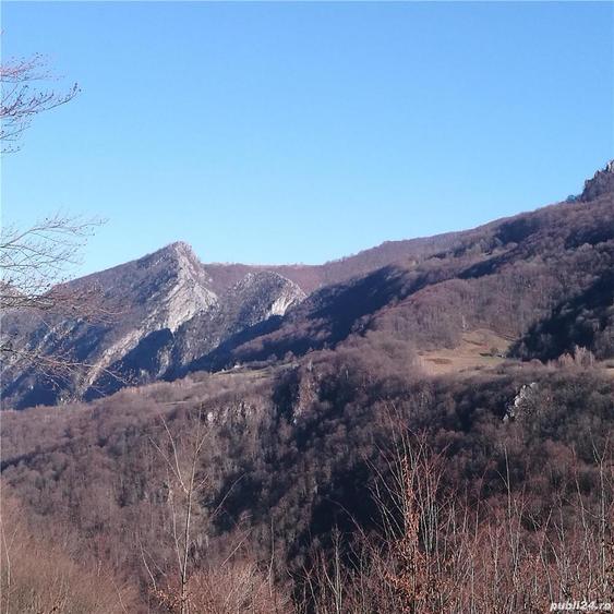 Teren de 30000 mp, în Cornereva