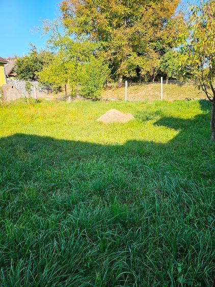 Casă individuală cu 4 camere cu Teren 13000 Mp în Exterior Nord