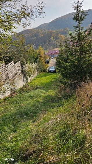 Teren extravilan Luncani-Bacau - 4