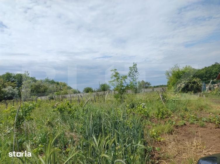 Teren de 987 mp, în Cârcea