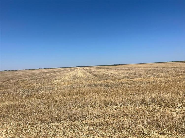 Teren agricol extravilan de 44000 mp, în Olcea