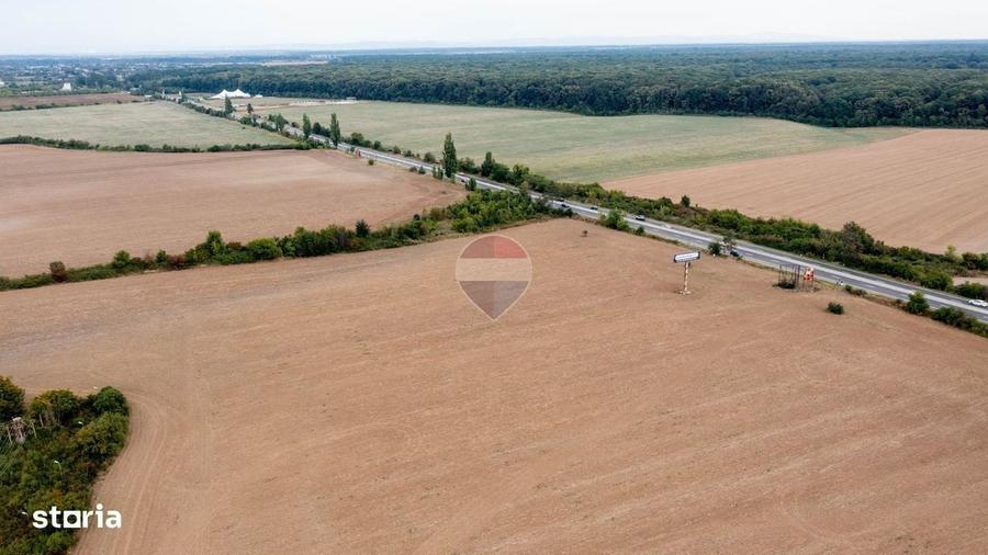 Teren intravilan 10.000mp Ciolpani, acces direct din DN1 - 7