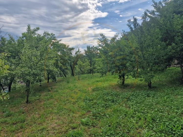 Teren Construcții intravilan de 1400 mp, în Albota