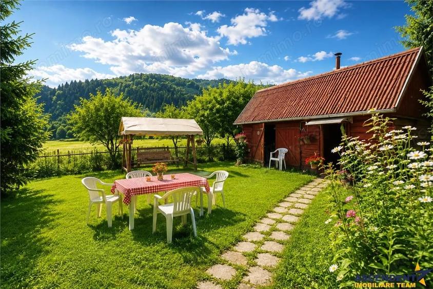 FILM Tur LIVE! Casa de vacanta, intr- o ariere admirabila, Lunca Bradului, Mures. - 4