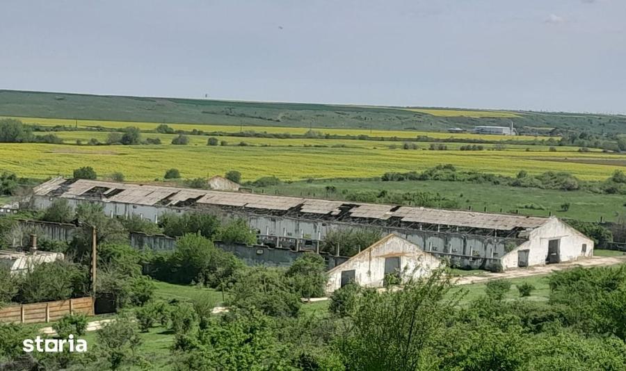 Teren de 84179 mp, în Izvoru