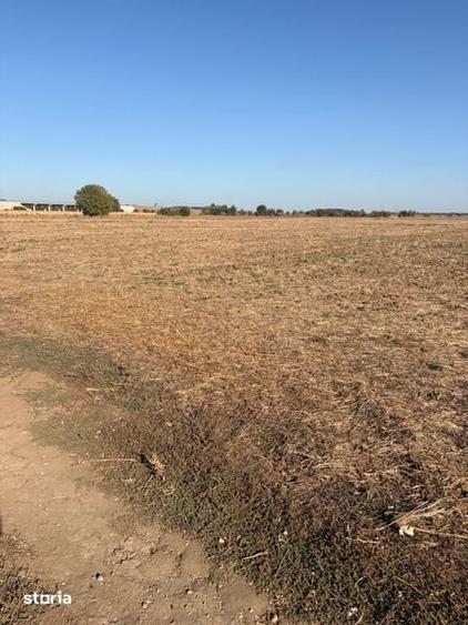 Teren de 2100 mp, în Dărăști-Ilfov