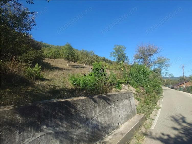 Teren de 1274 mp, în Criș