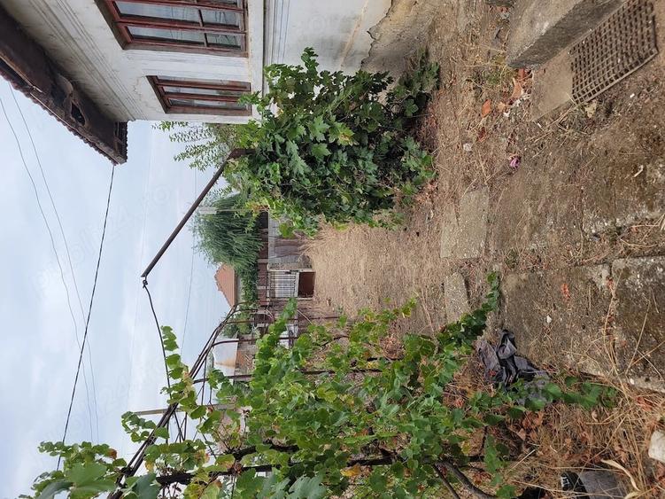 Casă cu Teren 2504 Mp în Central