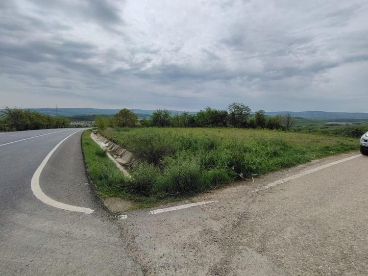 Teren Construcții intravilan de 1800 mp, în Ciurbești