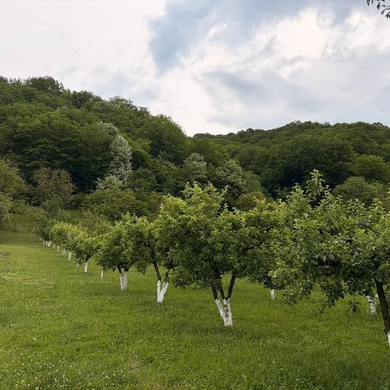 Casă cu 2 camere în Ileanda