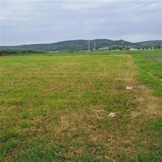 Teren Construcții intravilan de 4200 mp, în Banat